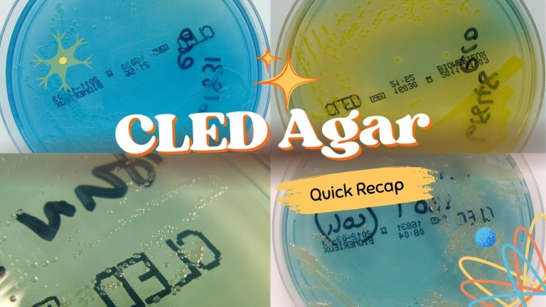 CLED Agar Quick Overview in Microbiology | Microbiology | Medical Laboratory Science