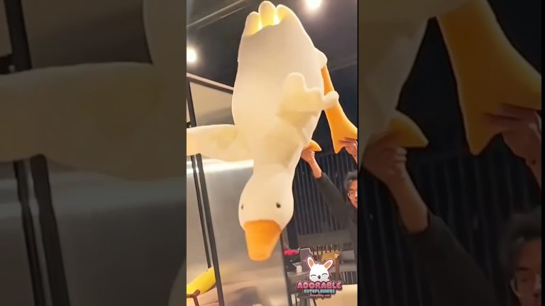 Goose Plush Toy 🦢 | Plush Toys for Kids | Plush Toy | #plushtoys #cutetoys #shorts #giftforkids