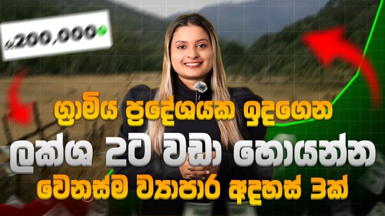 ඕනම කෙනෙක්ට කරන්න පුලුවන් | Top 3 Business Ideas can start in rural area Sri Lanka | Sinhala |