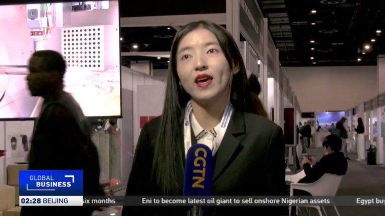 Second South Africa and China International Trade Expo underway in Johannesburg