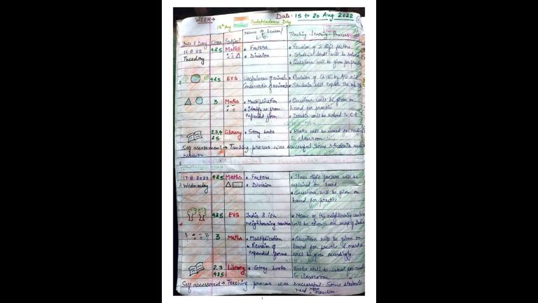 15 to 20 August teacher diary primary school