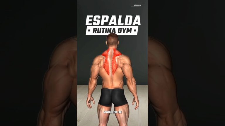 Back Workout At Gym – Best Exercises For Big Back ( WeGoGym ) #backexcercise#backworkout#fitness