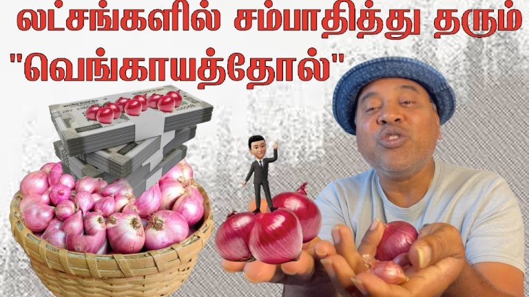 👍லட்சங்களில் சம்பாதிக்கும் "Onion Powder" Process| Business Idea | Sakalakala Tv | #onionpowder