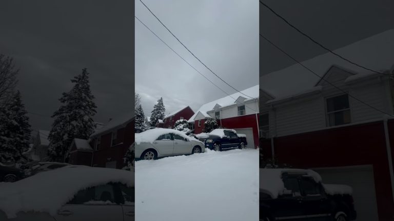 Snow fall🌨️  #music #lofi #cover #lyrics #newyork#usanews #usatoday #streetofusa#youtubeshorts