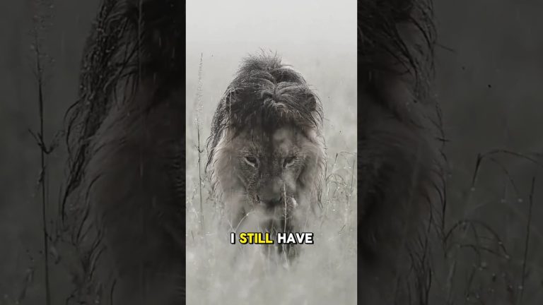 Even if i lose it #motivationspeech #strenght #motivational #viralshort #motivation #strong #mindset