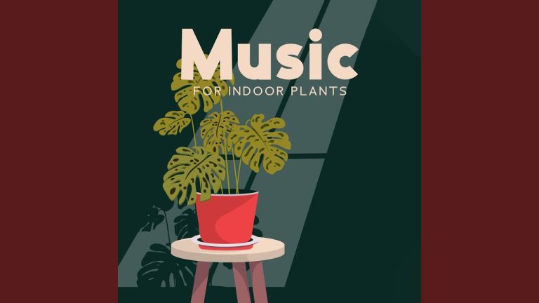 Organic Noisescapes