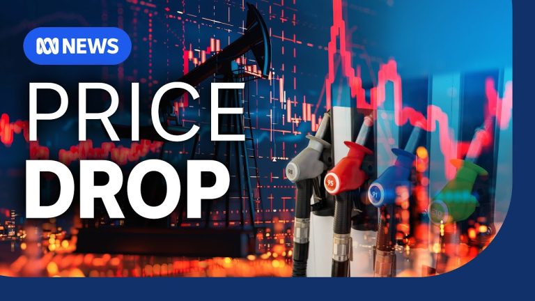 Why fuel prices are expected to fall | The Business | ABC NEWS