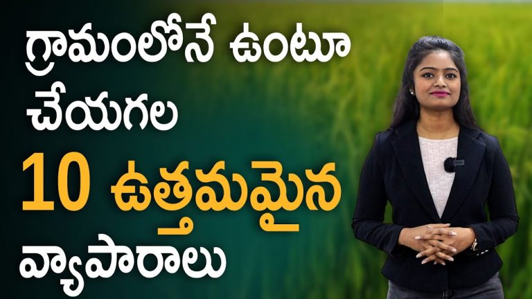 Best Profitable Farming Business Ideas | Farming Business Ideas 2022 | Telugu | Ambika