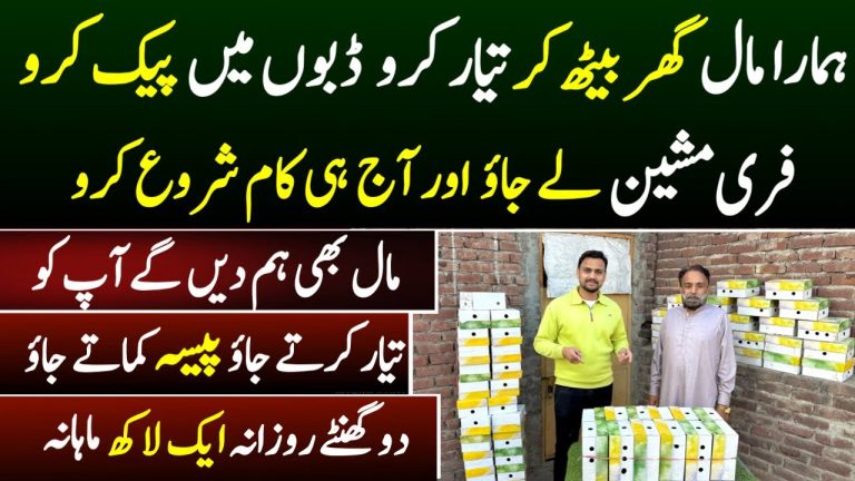 New business plan in pakistan 2025 | business for future | business idea with low investment