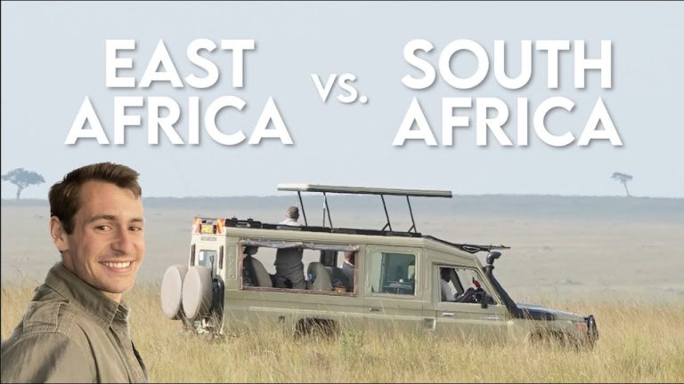East vs. South Africa – Where Should You Go on Safari?