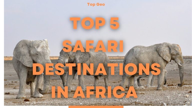 Top 5 Safari Destinations in Africa