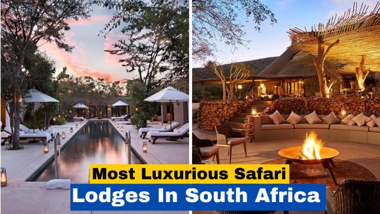 Top 5 Most Luxurious Safari Lodges In South Africa