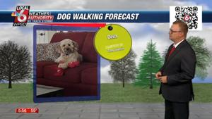 Dog walking forecast 5.7.25