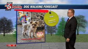 Dog walking forecast 5.9.25