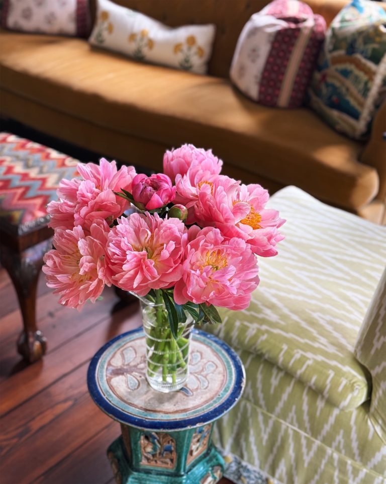 The Vase Edit – Julia Berolzheimer