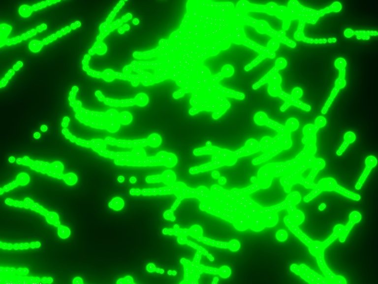 Matrix Sentinels: Building Dynamic Particle Trails with TSL