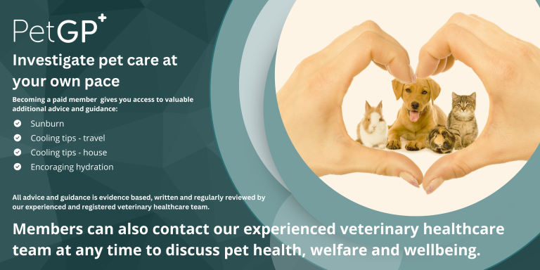 Garden Toxins for Pets – Pet GP