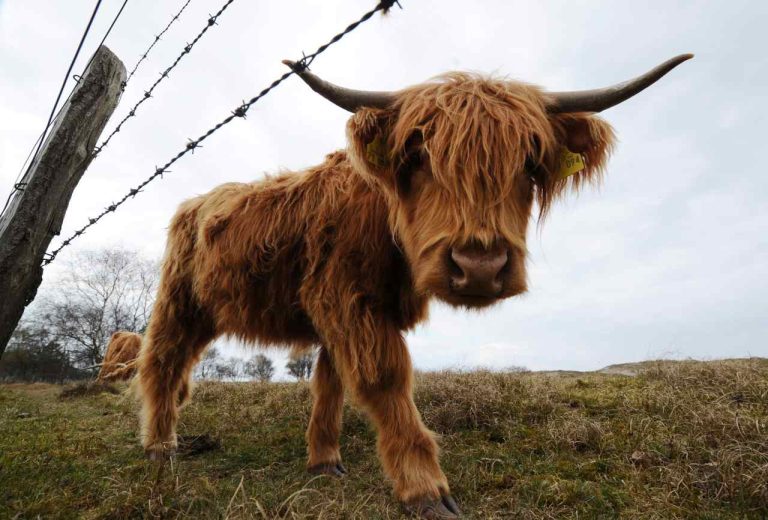 The bulls are back in town. Goldman and this Wall Street optimist are lifting their S&P 500 targets on tariff relief.