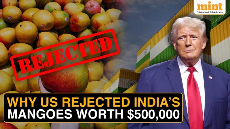 Indian Exporters Suffer ₹4.3 Cr Loss As US Turns Away 15 Mango Shipments Due To Documentation Lapses