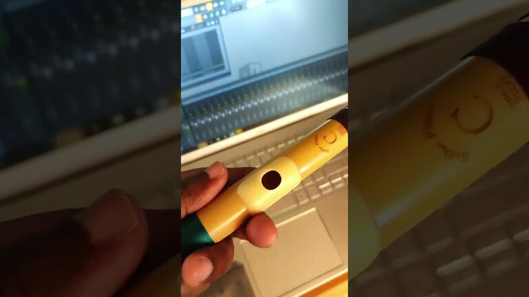 Radhe Flute (Amazon 450/-) unboxing and Playthrough | Awesome! #shorts #flute