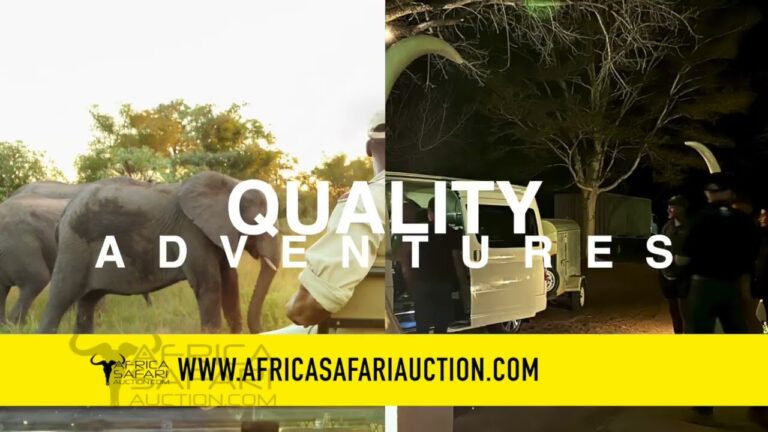 Africa Safari Auction, bid on your next adventure.