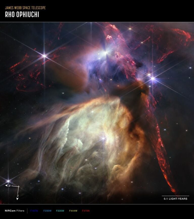 Why Rocky Planets Form Early: ALMA Survey Shows Planet-Forming Disks Lose Gas Faster Than Dust