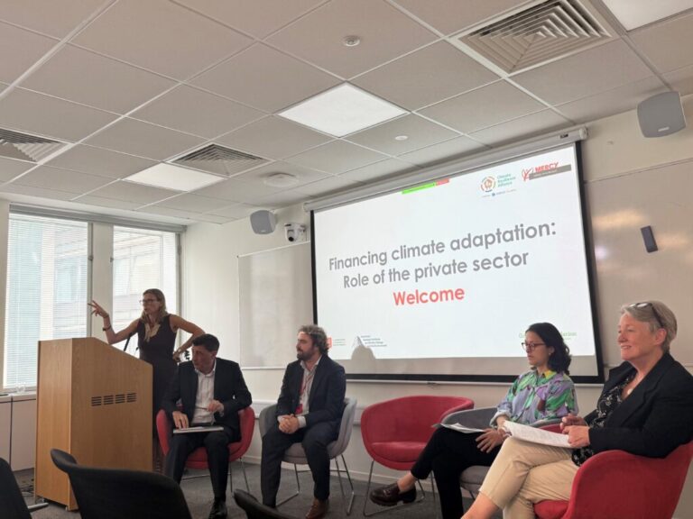 The role of the private sector in financing climate adaptation 