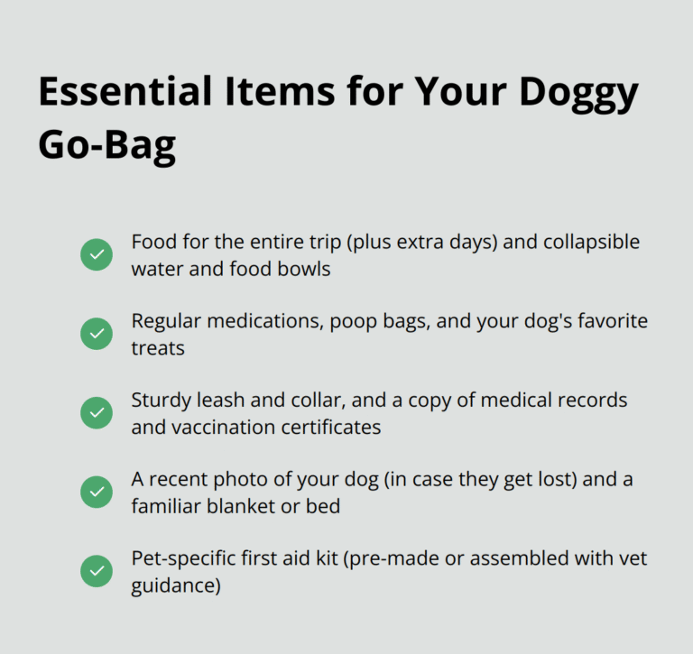 How to Plan the Perfect Road Trip with Your Dog – The Dogington Post