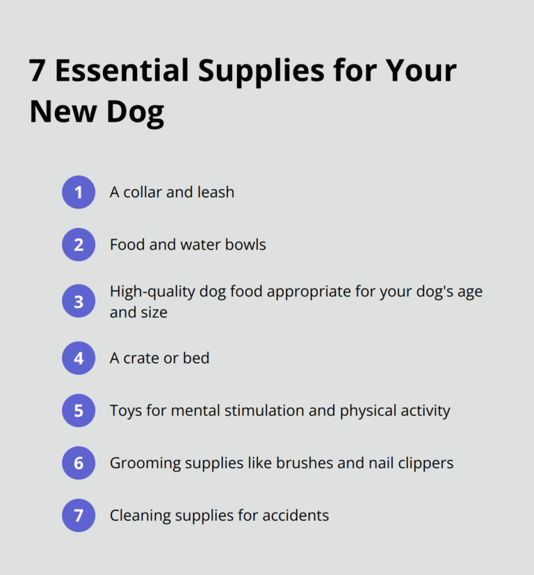 A Comprehensive Guide – The Dogington Post