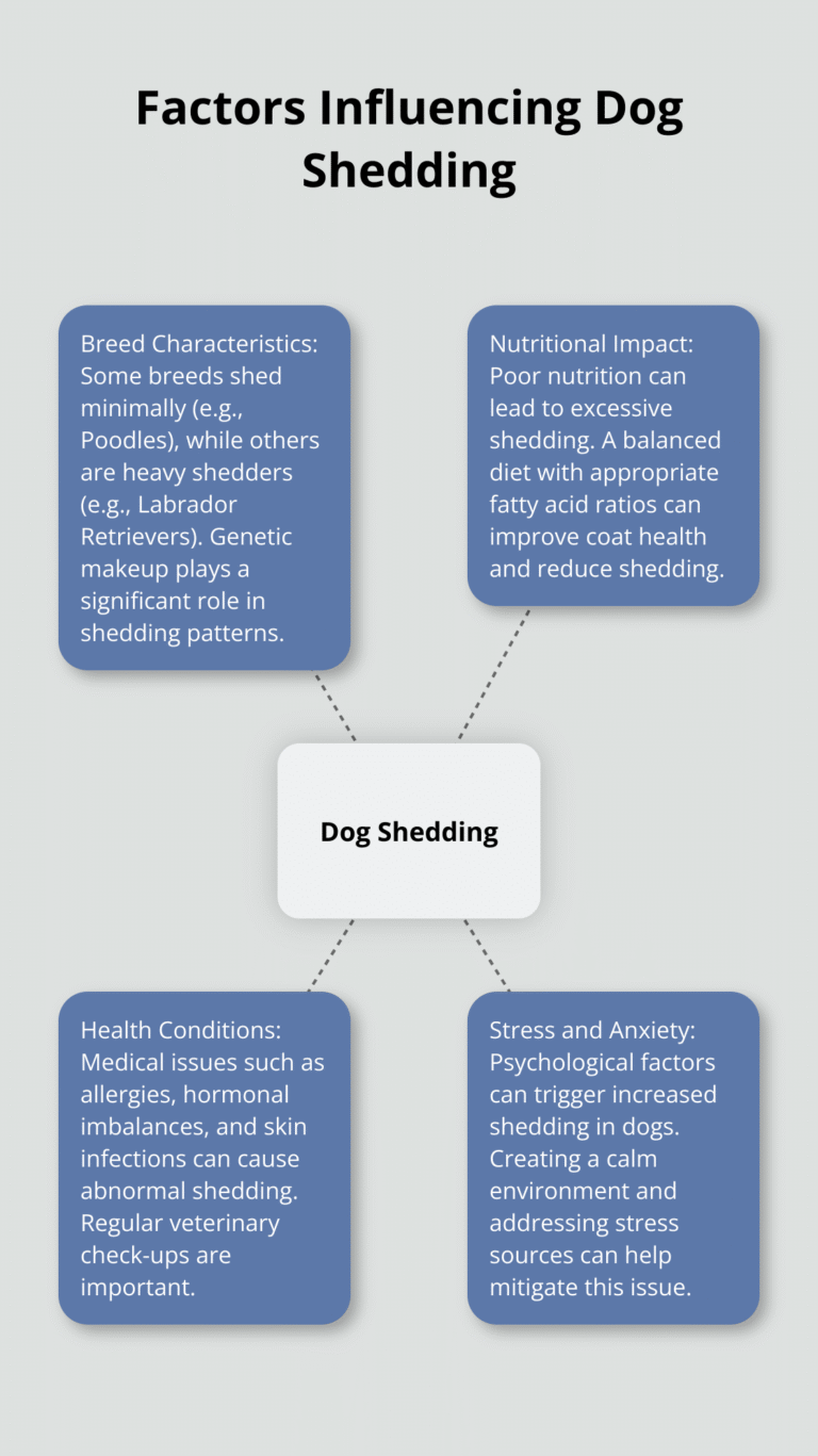 Essential Tips for Pet Owners – The Dogington Post