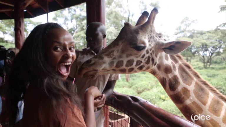 SPICE DESTINATION: SAFARI IN NAIROBI, KENYA