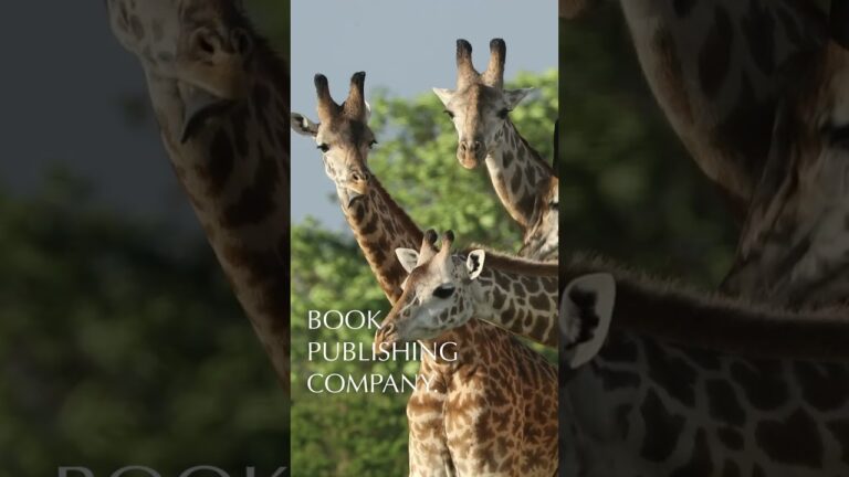 Africa's Safari Secrets in One Ultra-Luxe Book!
