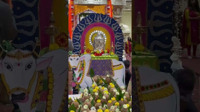 Mahashivratri in the US #shivratri #festival #trending #usa #reels #youtube #shorts #shiv #bholenath