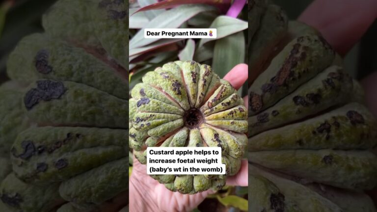 Custard apple for foetal weight during pregnancy #custardapple #pregnancydiet #pregnancynutrition