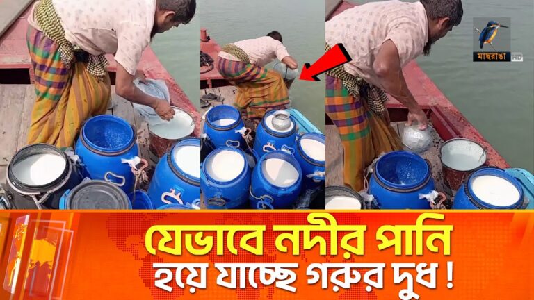 নরসিংদী পাকন নগরে এক অসাধু দুধ ব্যবসায়ীর কাণ্ড ! | Milk Business | Maasranga News