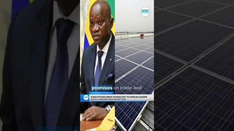 China Pitches Green Technology to African Leaders Ahead of Western Trade Restrictions