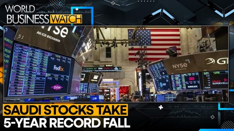 West Asia Stocks Take A Hit From Global Plunge | WION World Business Watch
