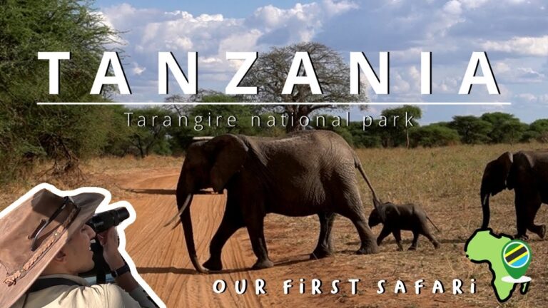 Our First African Safari! Tarangire National Park & Epic Wildlife Sightings