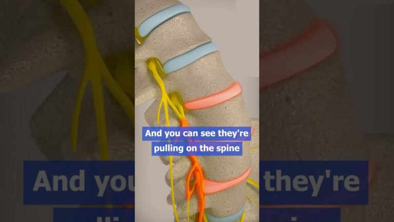 Inversion Tables for BACK PAIN RELIEF?! 😱👇