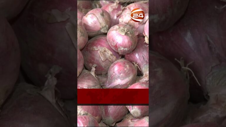 বড় প্রভাব নেই আমদানি রপ্তানি বাণিজ্যে | #channel24 #news #latestnews #business