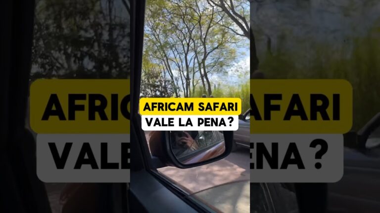 Africam Safari en Puebla, vale la pena? Aquí te lo cuento. #africamsafari #viajes #puebla