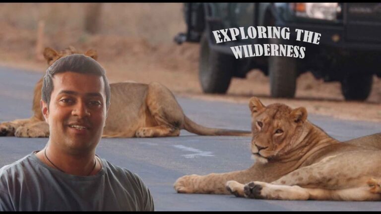 WELCOME – Intro Video African Safari Adventures