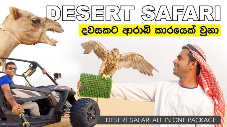 BEST DESERT SAFARI WITH ALL ACTIVITIES | 🇦🇪 DUBAI | TRIP PISSO