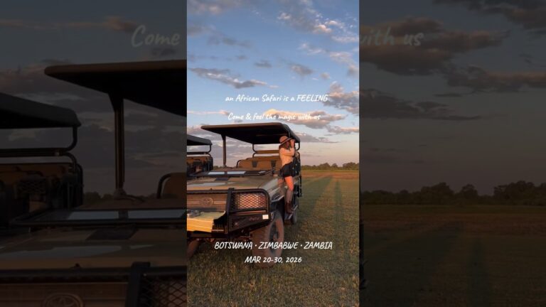 An African Safari is a Feeling | Botswana Luxury Adventure | SOLE Holidays MAR 2026 #wildlifesafari