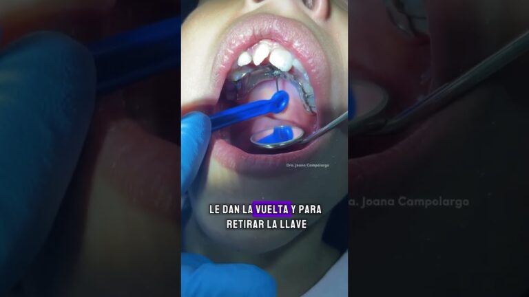 Esta es la forma correcta de activar un disyuntor
