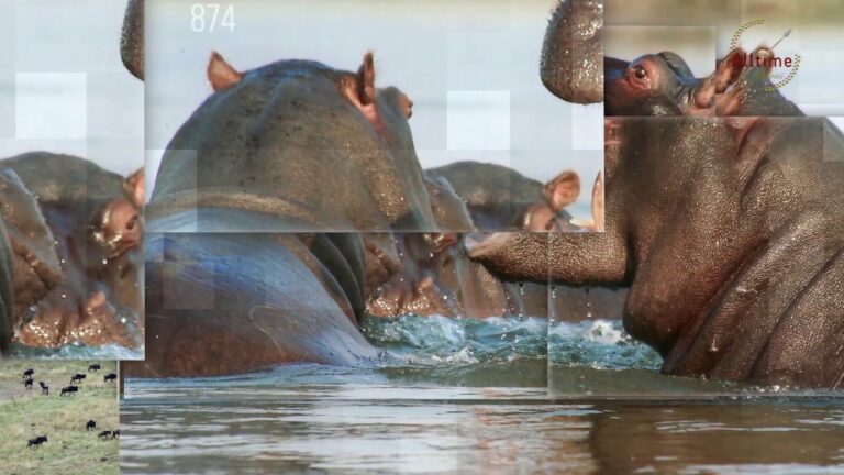 KENYAN SAFARI DESTINATIONS with Alltime Safaris