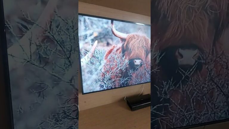Samsung (55 inches) The Frame Series 4K Ultra HD Smart QLED TV QA55LS03AAKLXL#shorts #viral