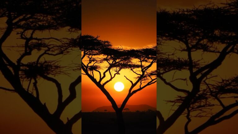 On Safari in Tanzania with @BenchInternational ! #getlostnow #tanzania #safari #africa #travel