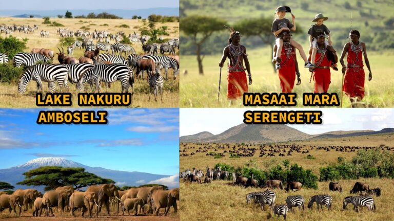 Best Safari Destinations in Kenya_ Top Safari Destinations to Visit in Kenya_