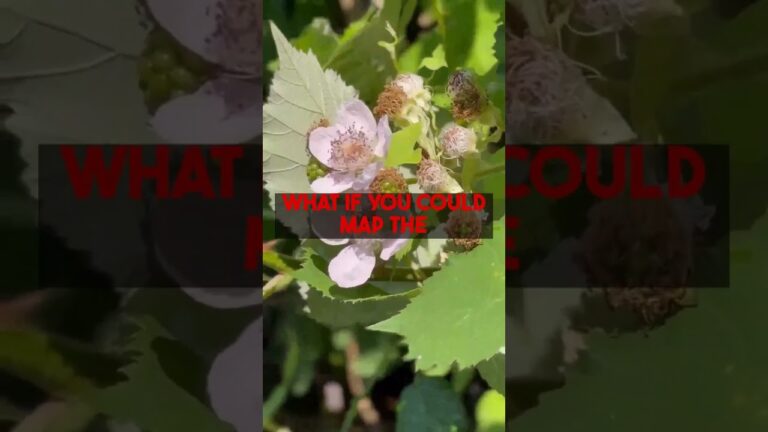 Plan Your Garden for Maximum Year Round Family Harvest